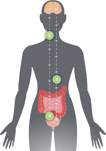 Axonics-nerve-signals.png